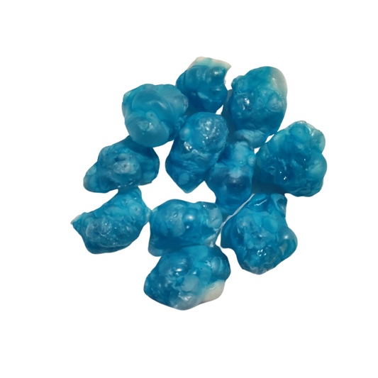 SHARK BITES